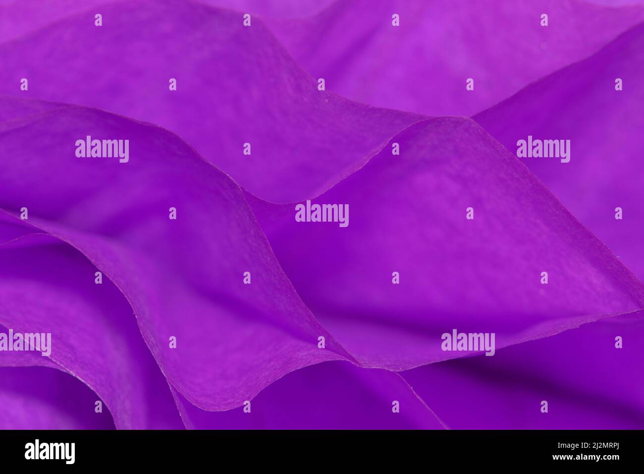 Carta viola disegni astratti e texture sfondo con profondità di campo poco profonda. Foto Stock