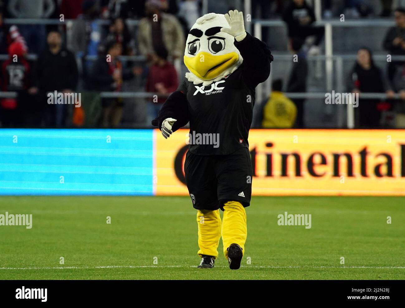 WASHINGTON, DC, USA - 02 APRILE 2022: La DC United Mascot Talon prima di una partita MLS tra la D.C United e l'Atlanta United FC, IL 02 aprile 2022, presso Audi Field, a Washington, CC. (Foto di Tony Quinn-Alamy Live News) Foto Stock