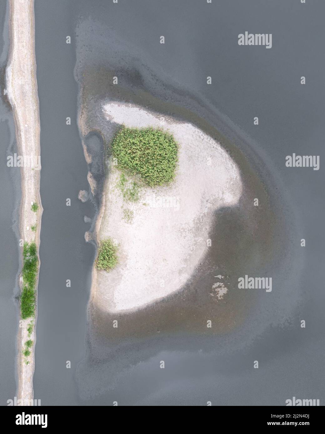 Forma della lettera D in natura Foto Stock