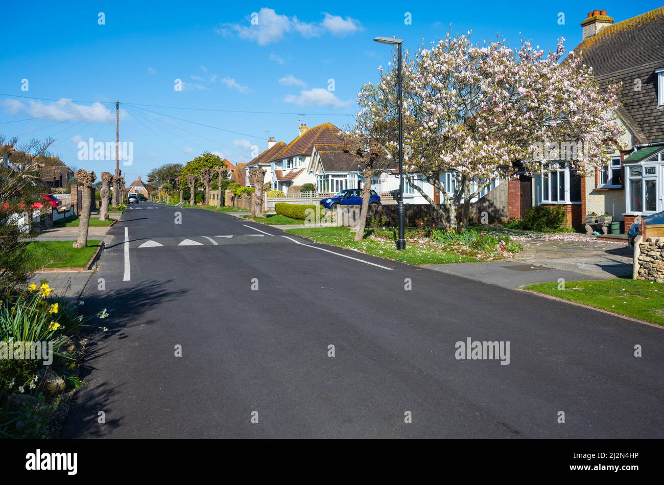 Strada senza marciapiedi o pavimentazione con alberi impollardati e alberi in fiore e traffico velocità calmante si conforma in una tranquilla strada residenziale nel West Sussex, Regno Unito Foto Stock