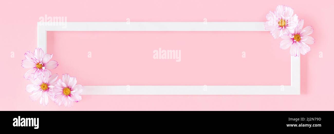 Banner con cornice bianca in legno decorata con fiori su sfondo rosa. Spazio di copia della vista Flat Lay Top. Foto Stock