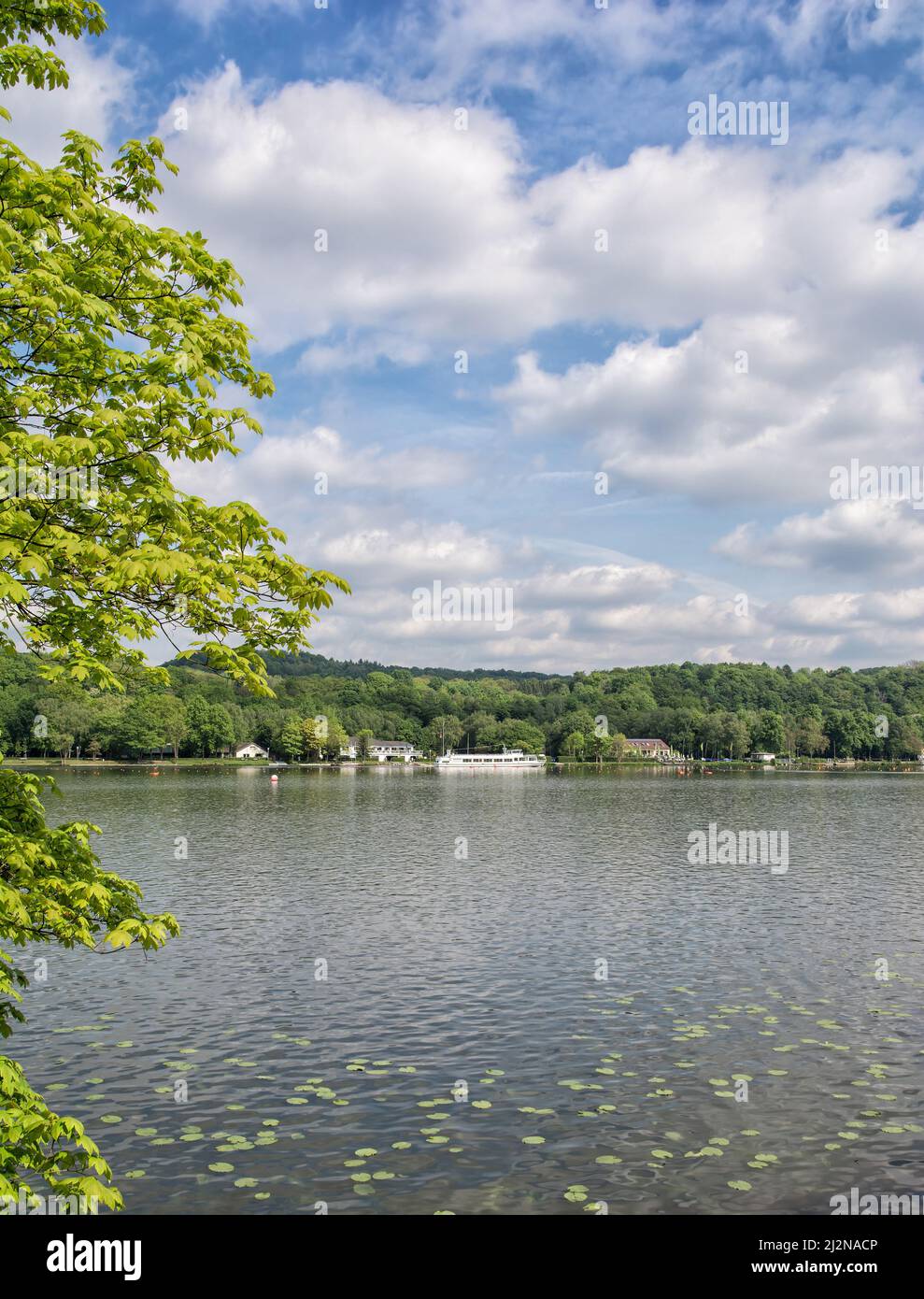 Lago Baldeneysee, Ruhrgebiet, Renania Settentrionale-Vestfalia, Germania Foto Stock