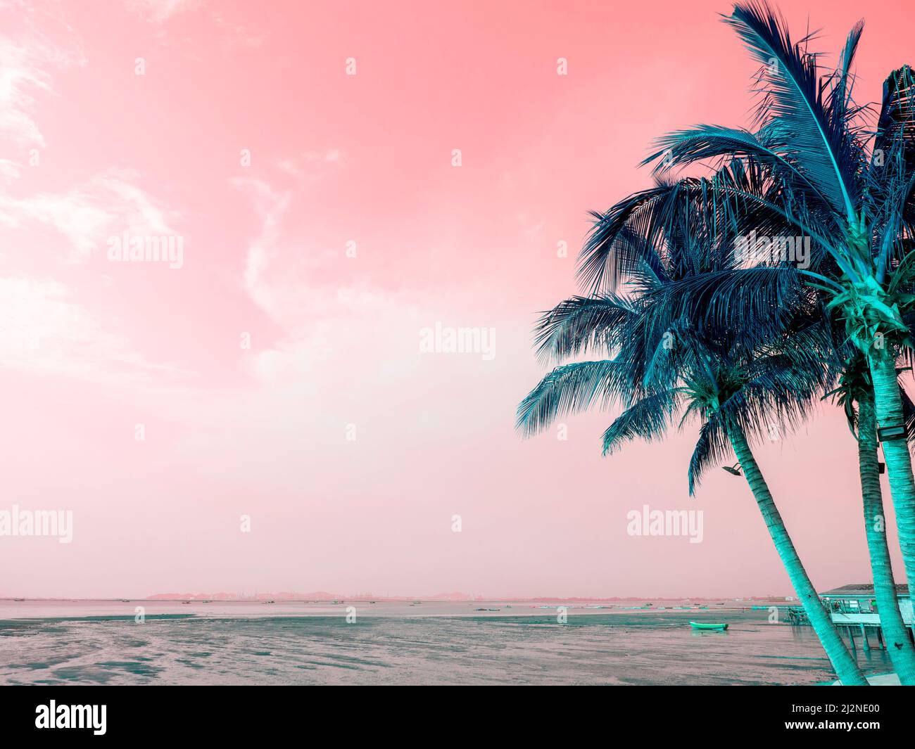 Palme da cocco verdi su estate colorato cielo rosa e mare con spazio copia. Splendido sfondo marino tropicale dallo stile minimale. Foto Stock