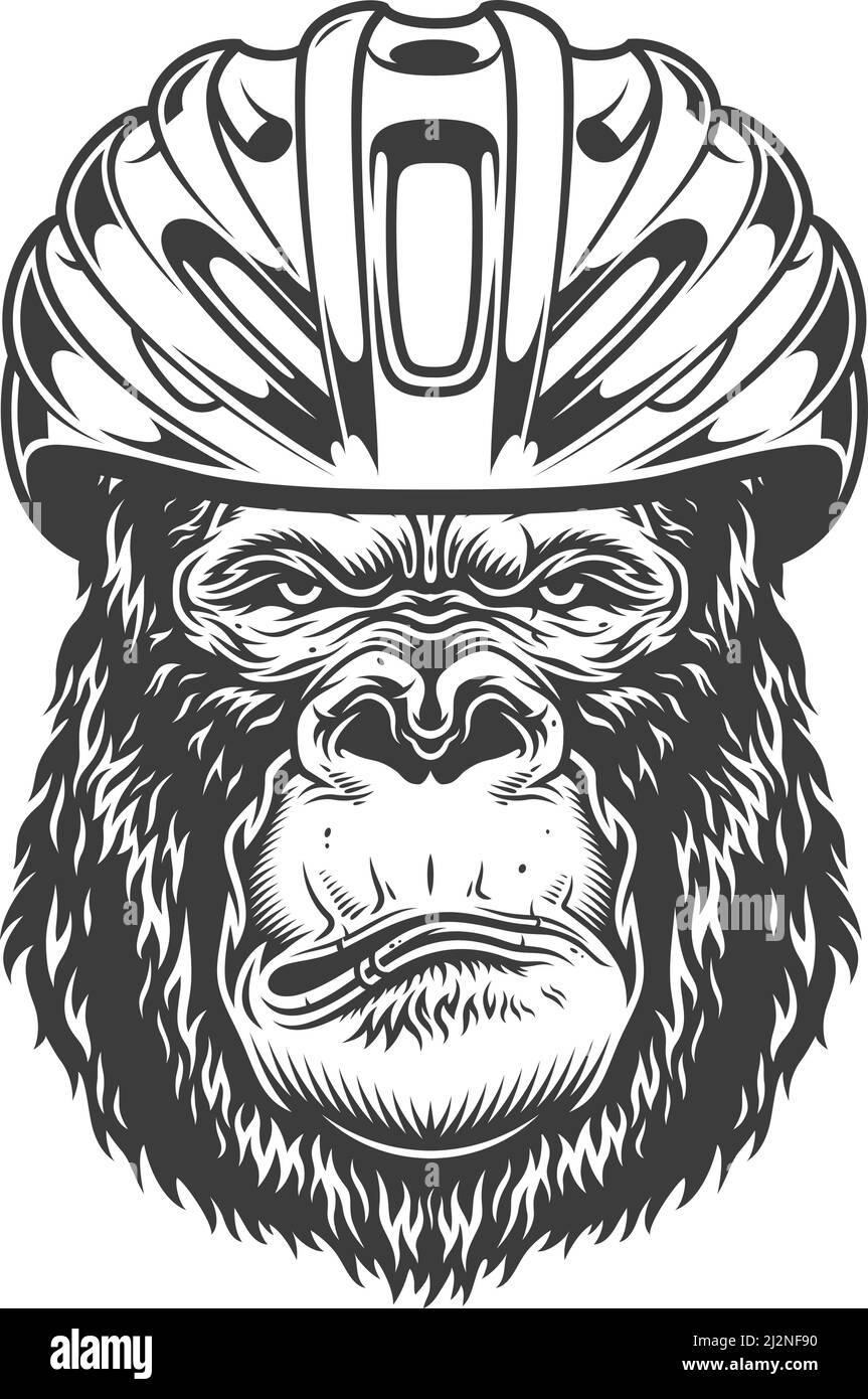 Grave gorilla in stile monocromatico nel biker hemet. Illustrazione vintage vettoriale Illustrazione Vettoriale