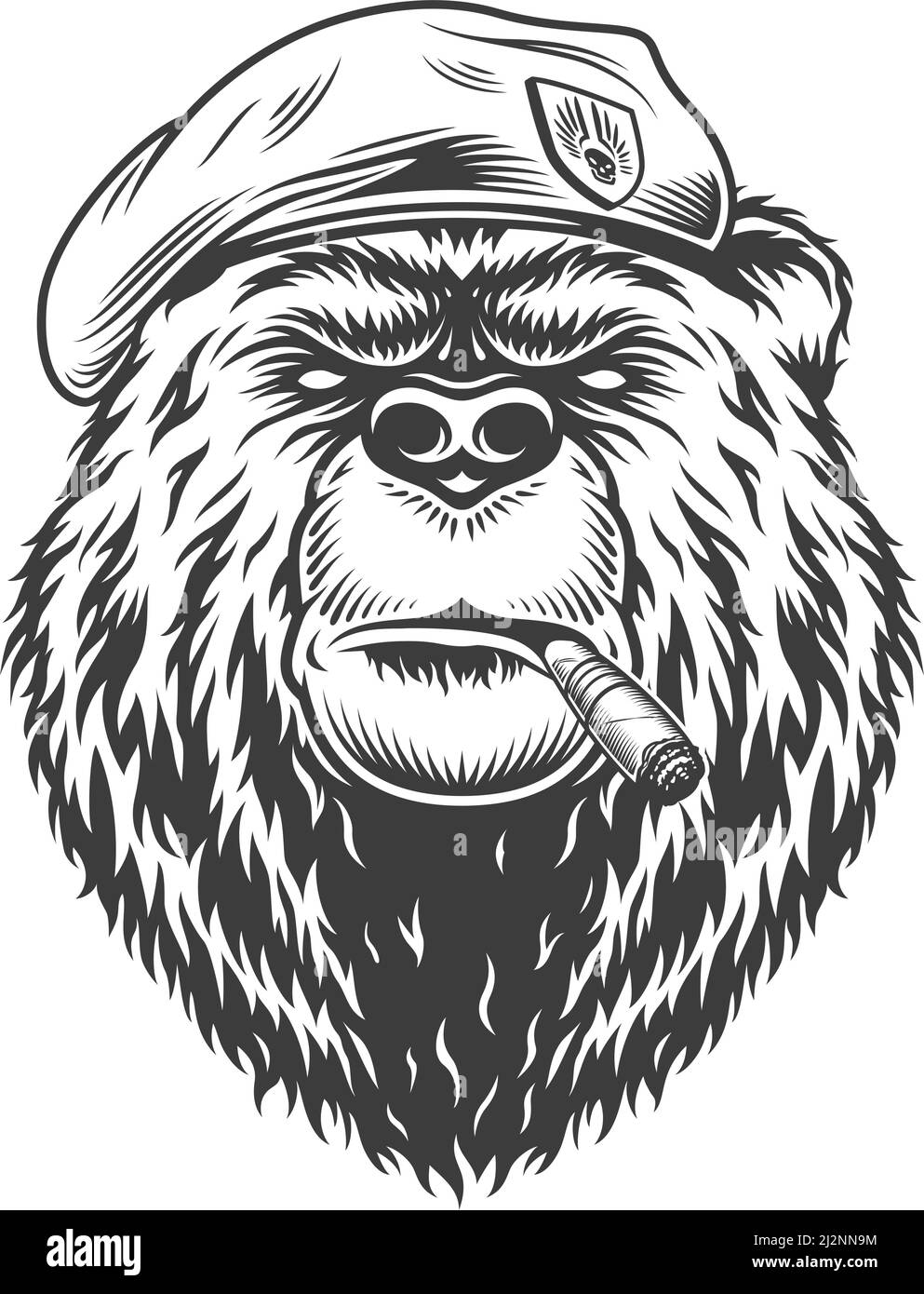 Testa di orso del sigillo della marina in beretto fumante sigaro cubano dentro illustrazione vettoriale isolata in stile monocromatico vintage Illustrazione Vettoriale