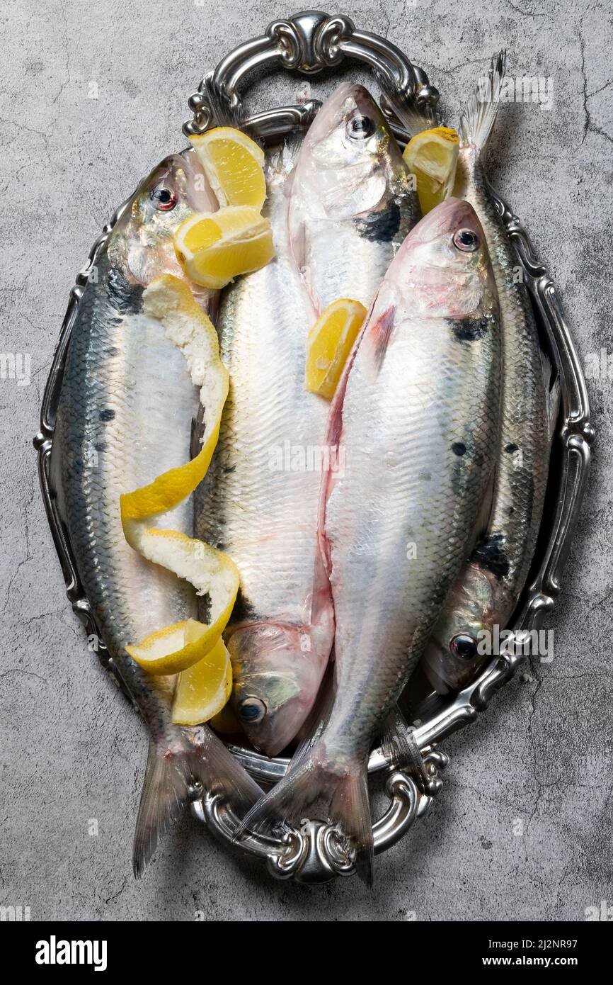 Pesci di mare freschi non cotti su un piatto d'argento Foto Stock
