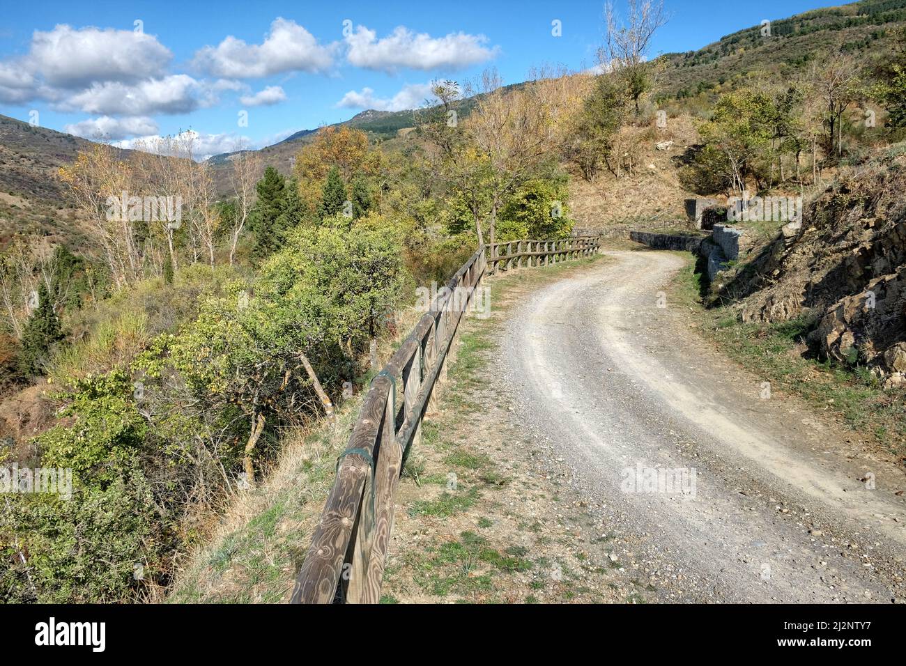 Sentiero sinuoso sotto il cielo azzurro con nuvole nel Parco dei Nebrodi, in Sicilia Foto Stock