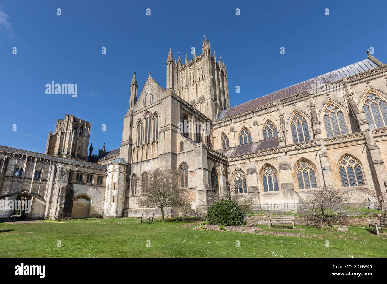 Una sezione della Cattedrale di Wells presa da uno dei giardini. Foto Stock