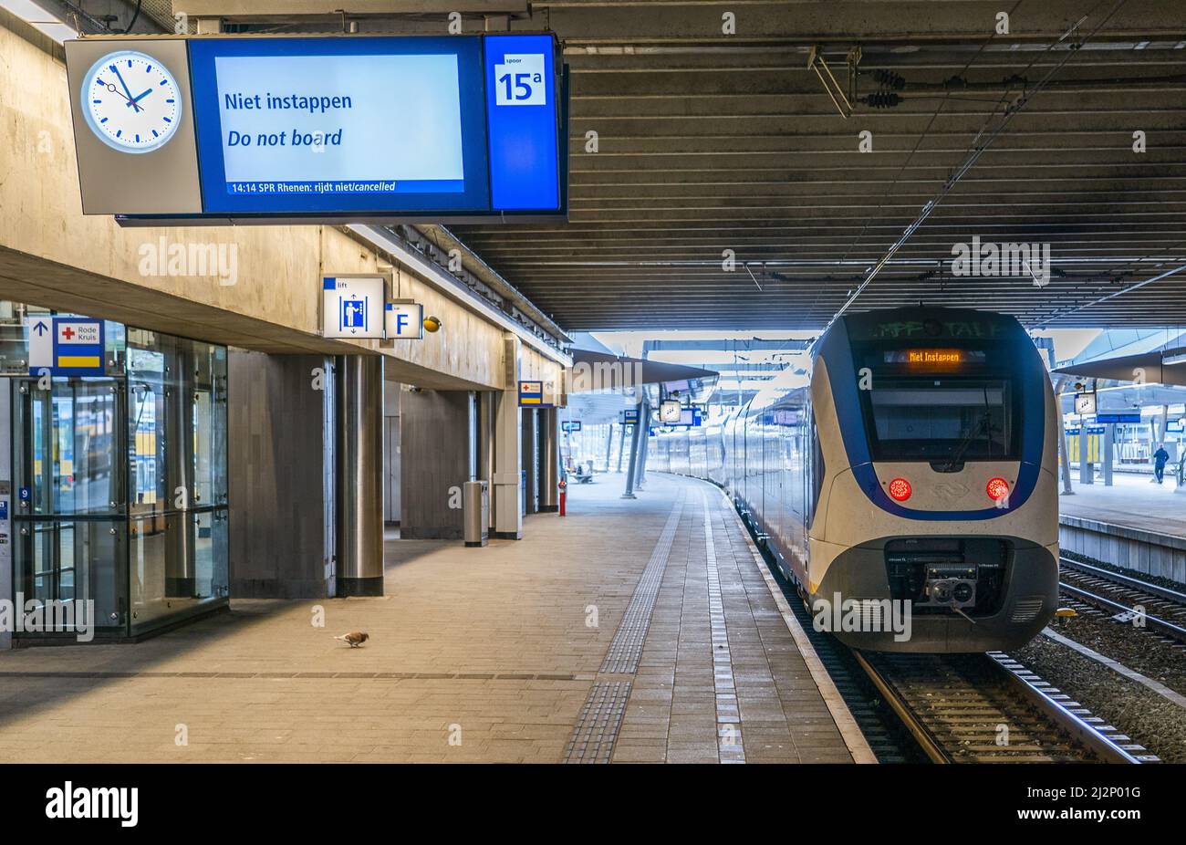 2022-04-03 13:54:33 UTRECHT - informazioni di viaggio alla stazione centrale di Utrecht. La NS invita i viaggiatori a rinviare il loro viaggio in treno a causa di un malfunzionamento tecnico. Di conseguenza, non vi sono treni in funzione. ANP JEROEN JUMELET olanda OUT - belgio OUT Foto Stock