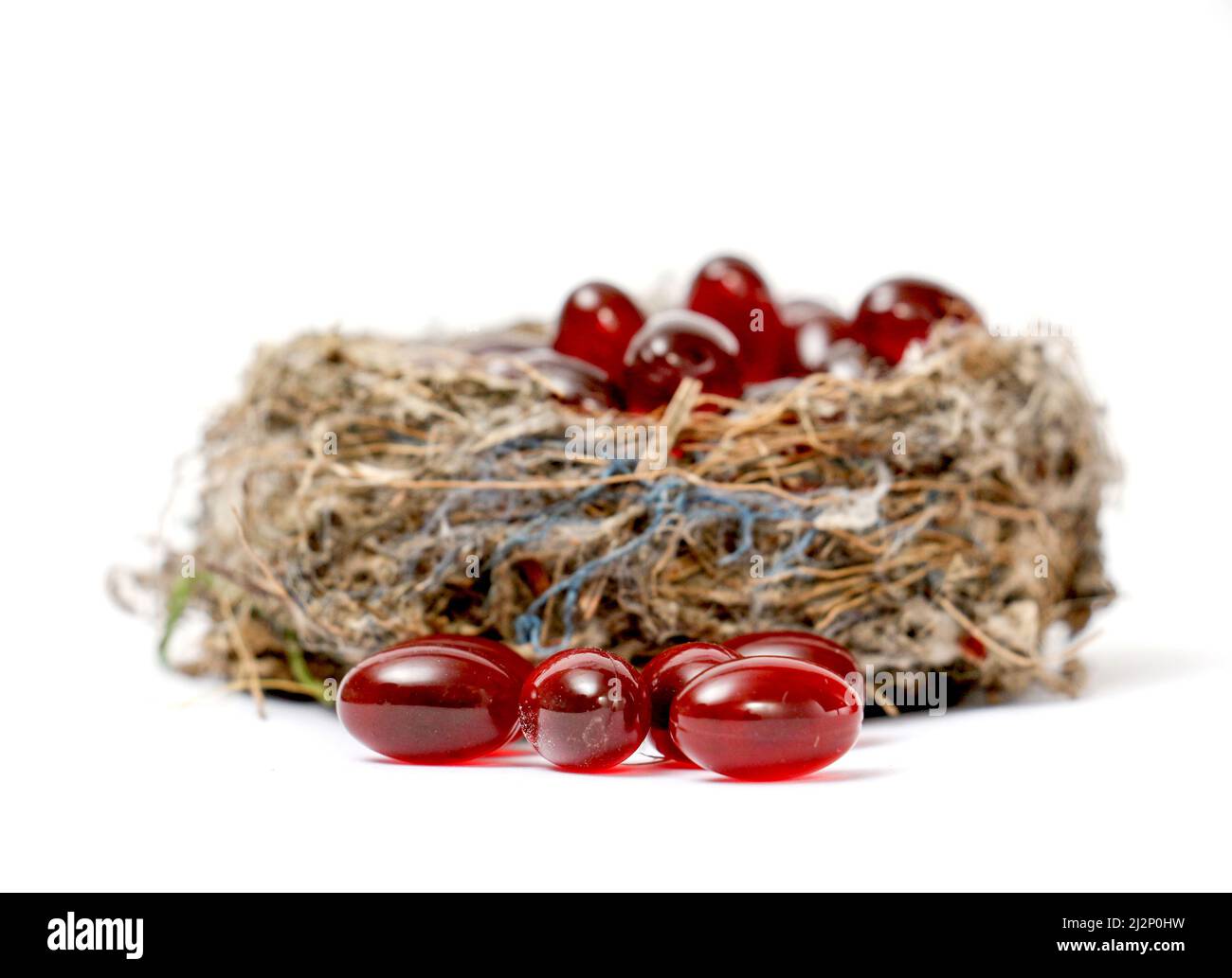 Immagine di una capsula di gel di olio di krill nel nido del passero Foto Stock