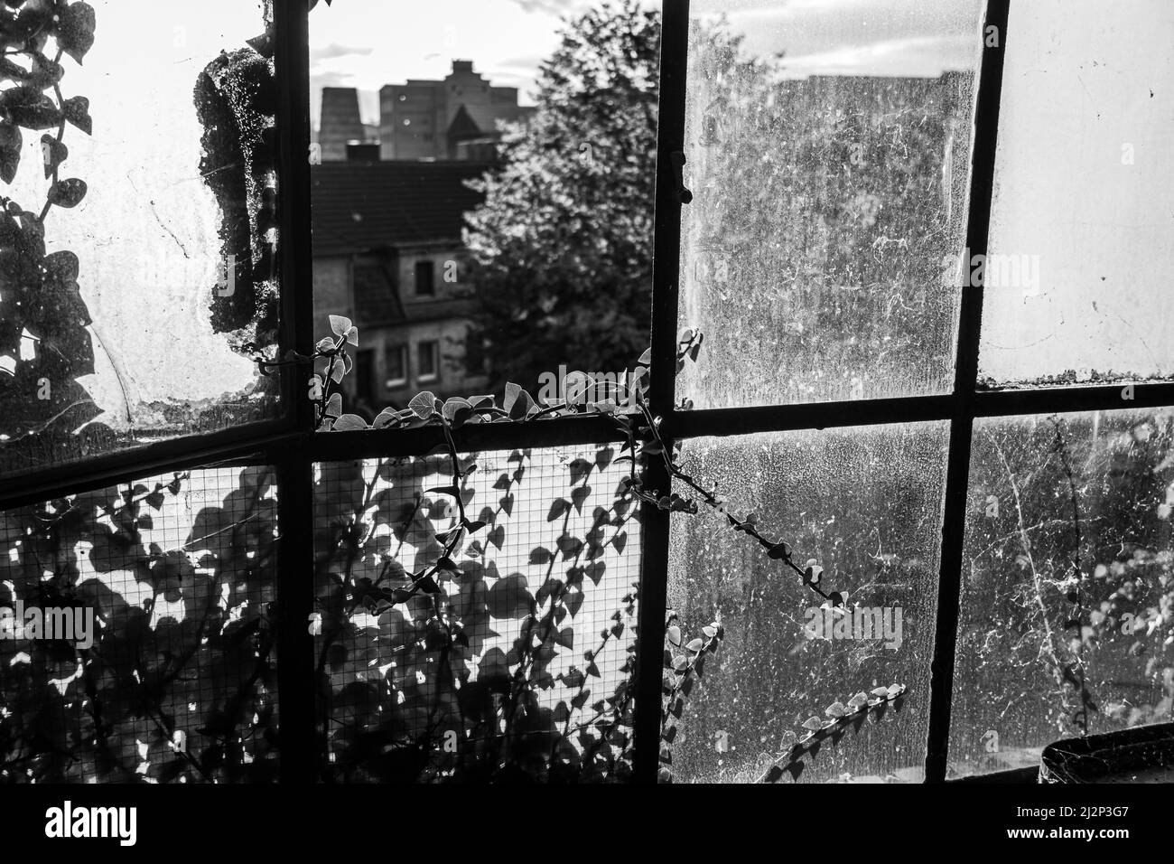 Finestra sporca in fabbrica abbandonata con il sole che splende attraverso Foto Stock