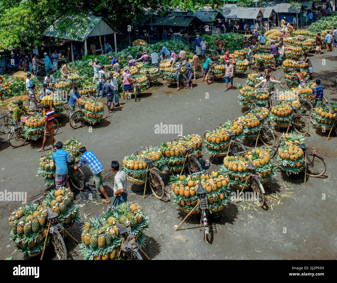 Immagine del Bangladesh Foto Stock