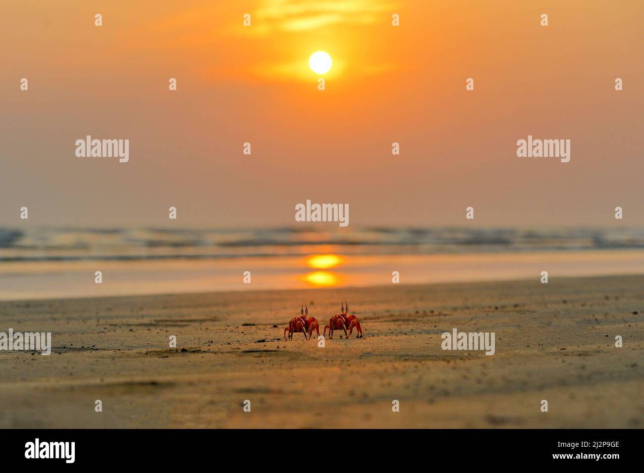 Immagine del Bangladesh Foto Stock