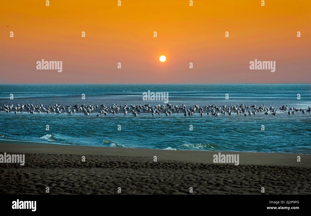 Immagine del Bangladesh Foto Stock