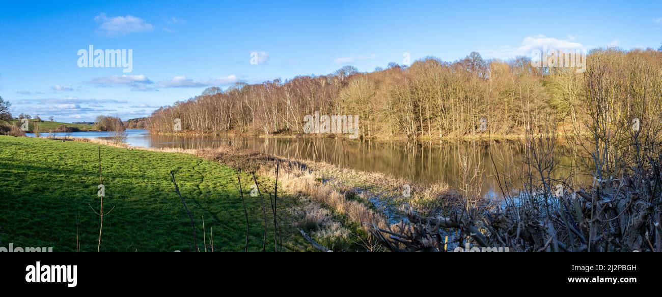 Un panoramico di Staunton Harold Reservoir Foto Stock