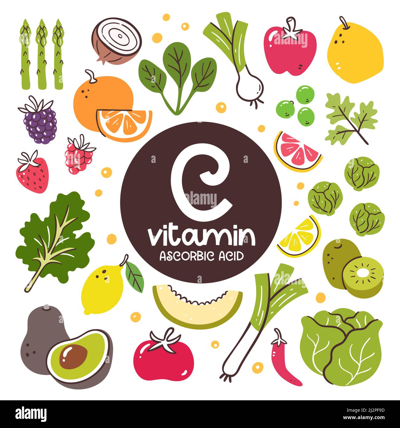 Prodotti alimentari ad alto livello di vitamina C (acido ascorbico). Ingredienti di cottura. Frutta e verdura. Illustrazione Vettoriale