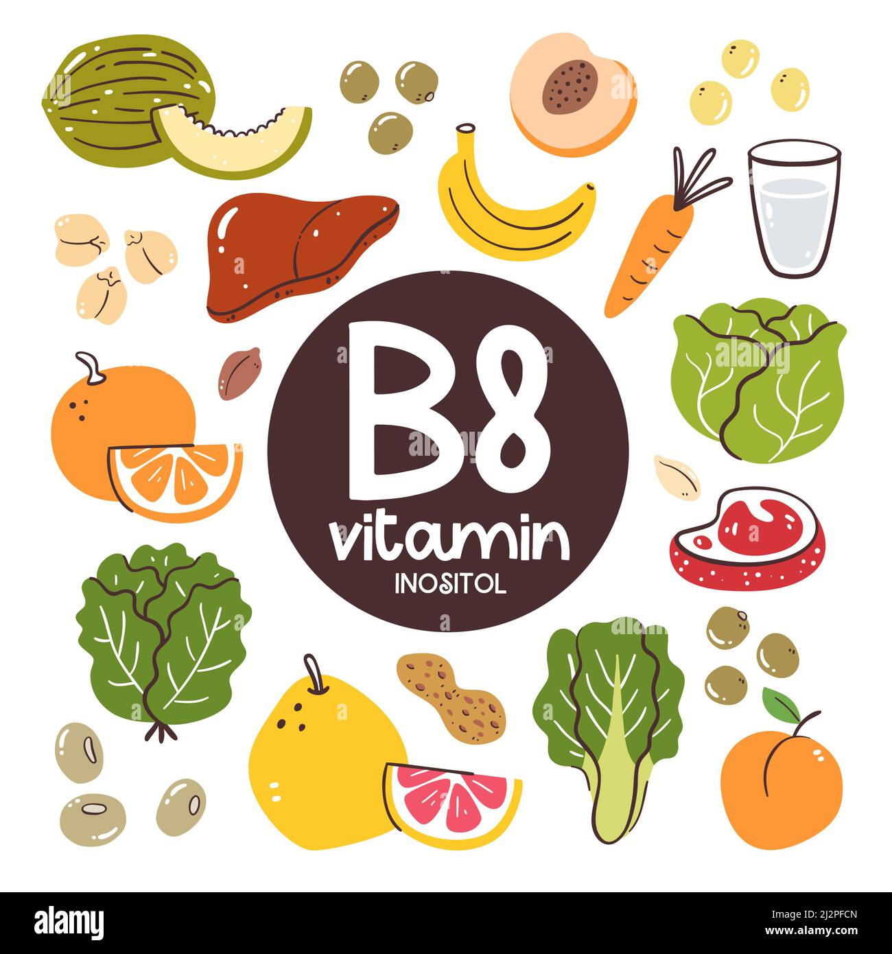 Prodotti alimentari ad alto livello di vitamina B8 (inositolo). Ingredienti di cottura. Frutta, verdura, legumi, latte. Illustrazione Vettoriale