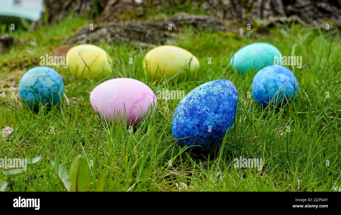 Uova di Pasqua multicolore pronte per la caccia all'uovo all'aperto in erba Foto Stock