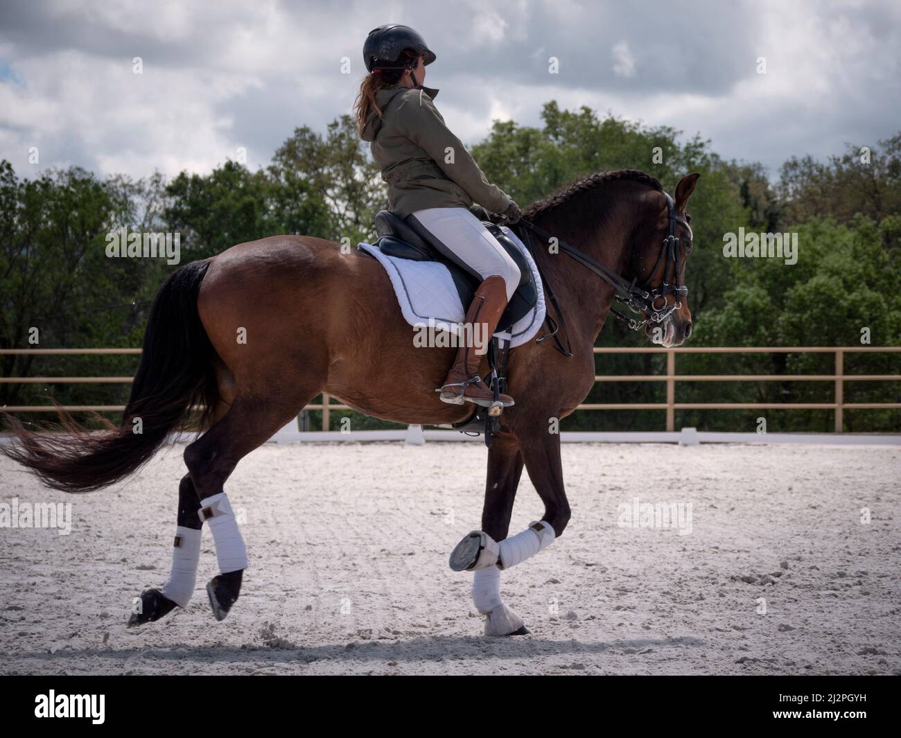 Donna dressage di allenamento canter gait o galoppo sull'arena. Foto Stock