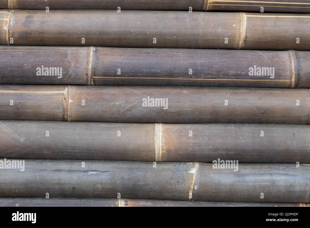 Struttura di bambù legno naturale motivi marroni. Primo piano di pianta di tronco con pali di legno bambù, muro recinzione vintage sfondo. Foto Stock