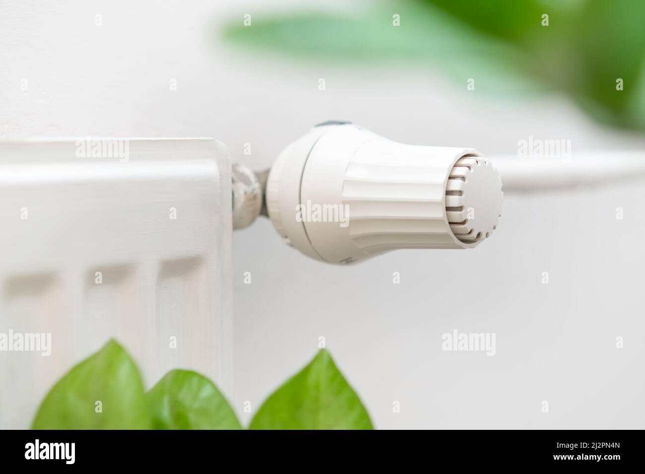 Termostato sulla batteria per regolare il calore e le foglie verdi dell'impianto. Aumento dei prezzi del riscaldamento, del gas, dell'acqua e delle risorse energetiche Foto Stock