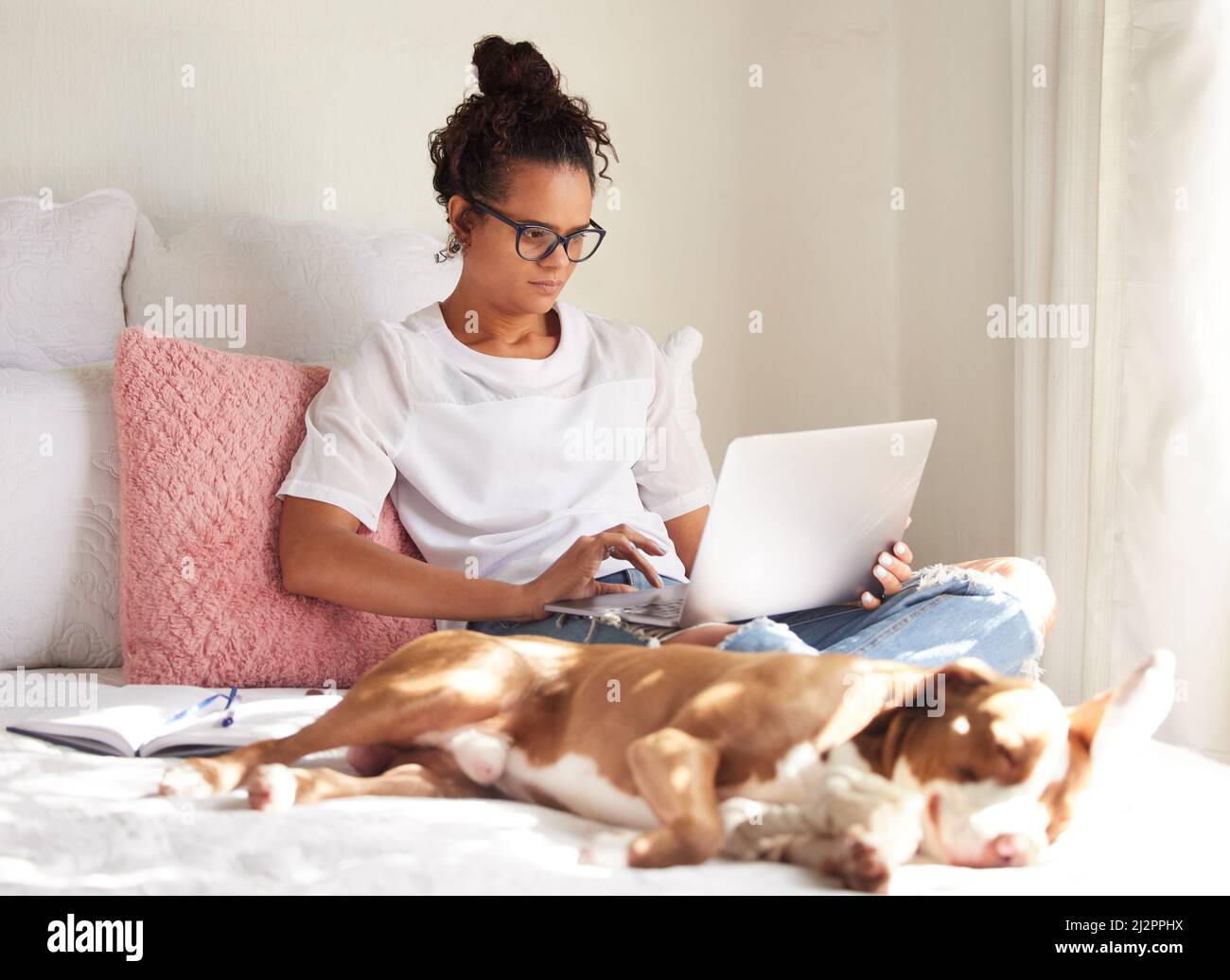 Il giorno perfetto pigro. Scatto di una bella giovane donna utilizzando un computer portatile mentre si rilassa con il suo cane a letto a casa. Foto Stock