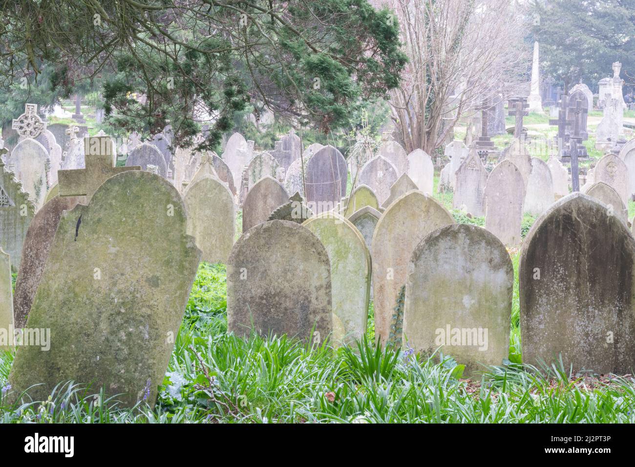 Southampton Old Cemetery Foto Stock