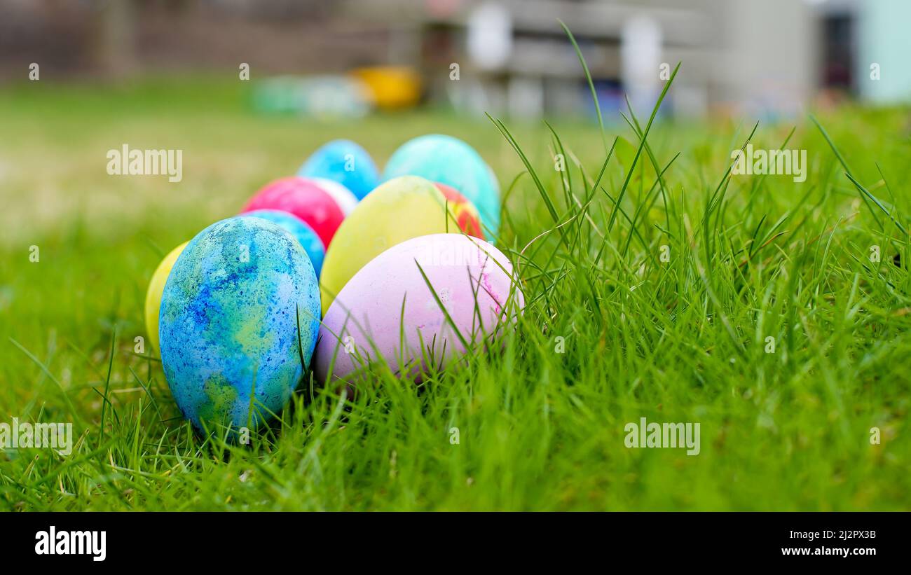 Uova di Pasqua multicolore pronte per la caccia all'uovo all'aperto in erba Foto Stock