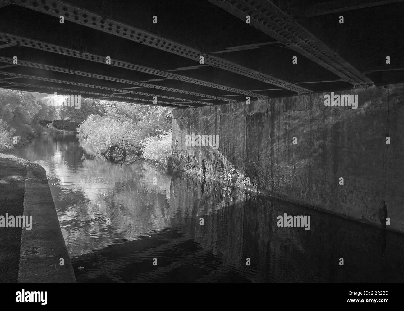 Immagine a infrarossi guardando sotto il ponte ferroviario sul Bridgewater e Taunton Canal a Taunton, Somerset, Inghilterra, Regno Unito. Parte della East Deane Way. Foto Stock