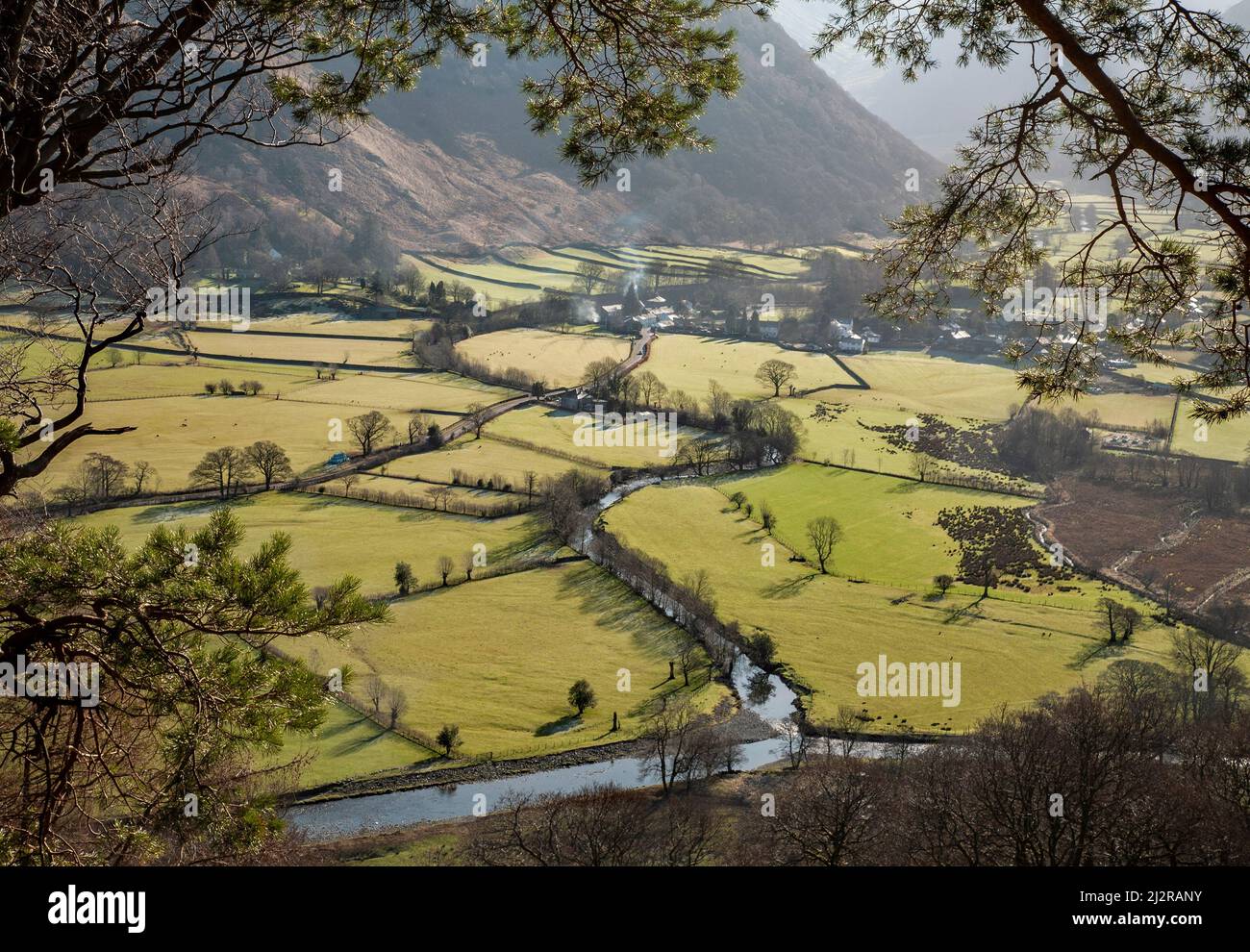 Alto su Castle Crag Mountain vista sul fondo valle e campi vicino Rotthwaite Borrowdale Lake District National Park Cumbria Inghilterra UK Foto Stock