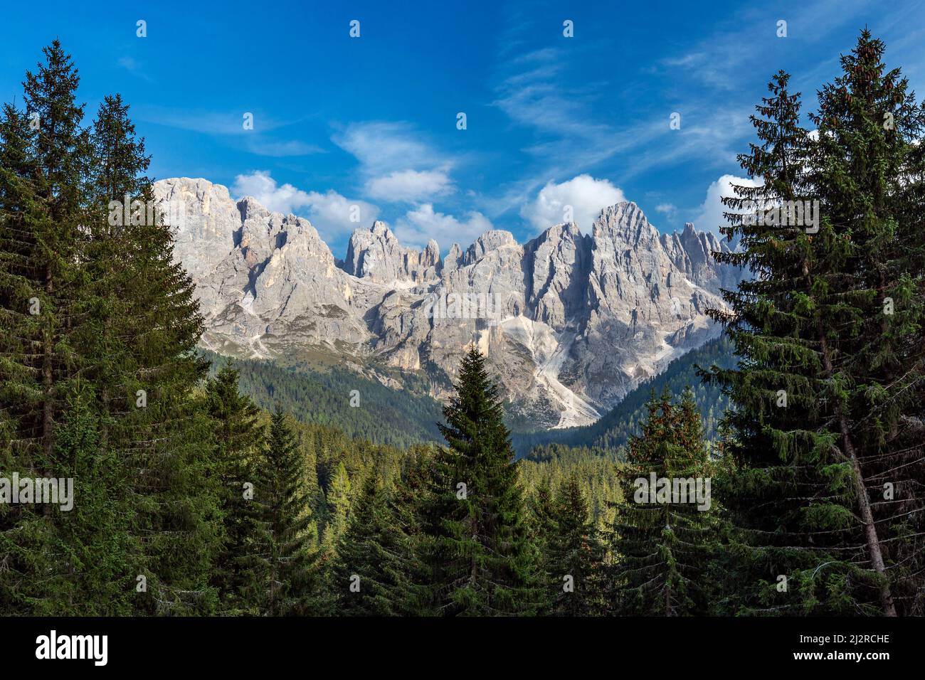 Parco naturale di Paneveggio pale di San Martino, Alto Adige, Dolomiti, alpi italiane Foto Stock