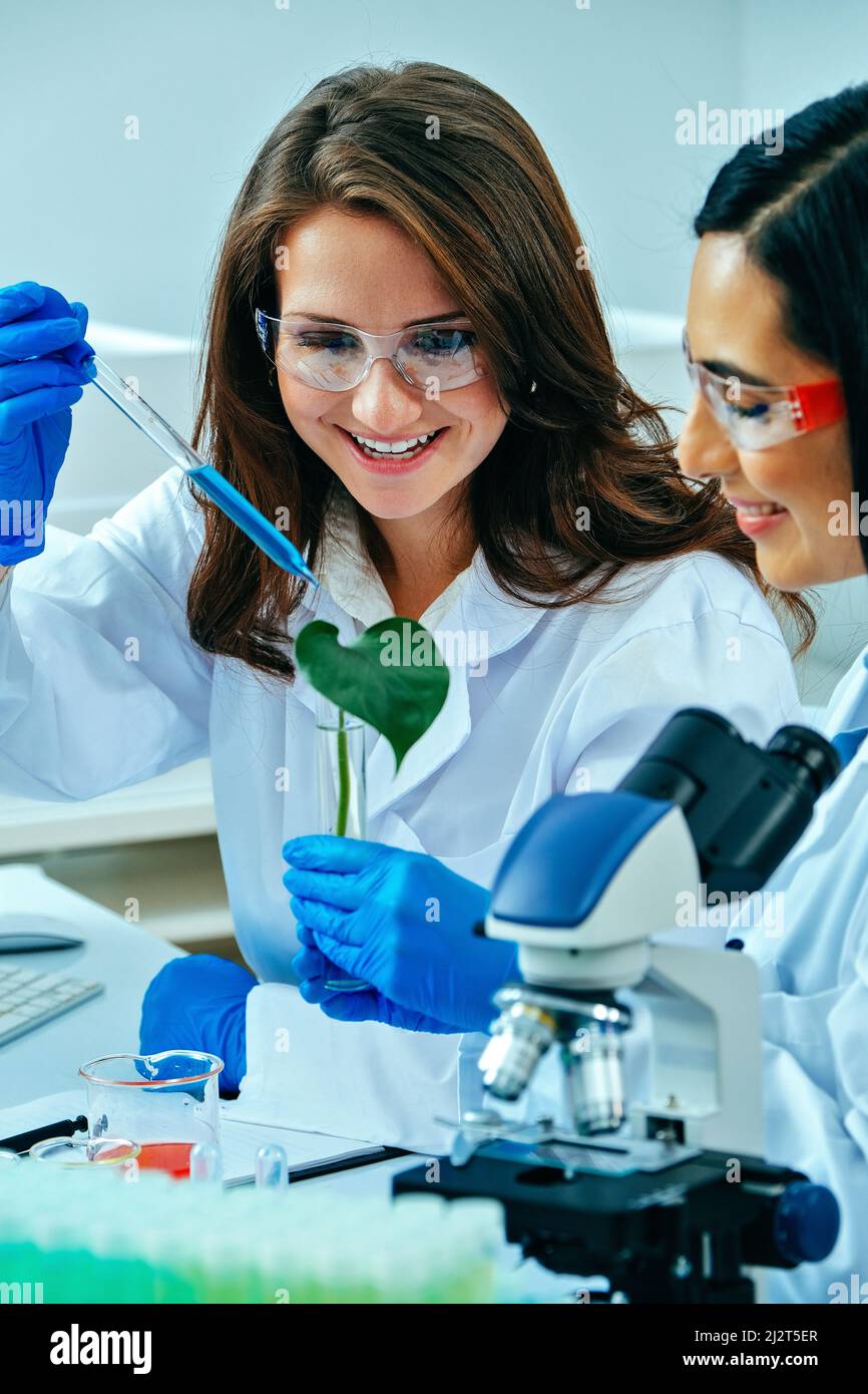 Due scienziati o ricercatori di sesso femminile che conducono ricerche scientifiche su impianti medici in laboratorio scientifico industria farmaceutica sostenibilità sanitaria Foto Stock