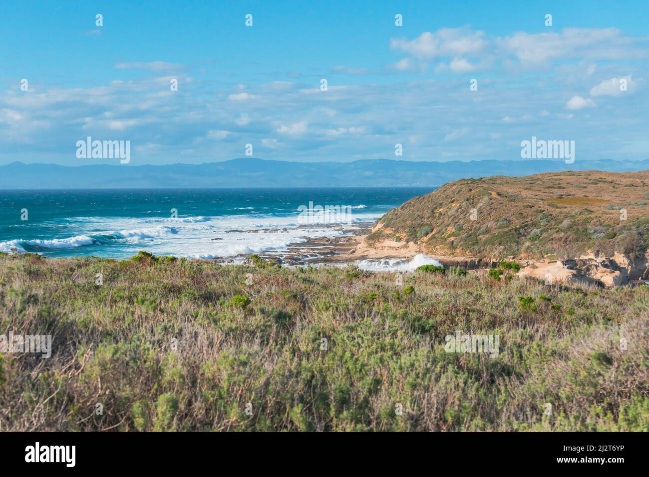 Scogliere rocciose, vista sull'oceano e foresta nativa della California, vista mozzafiato dal sentiero Montana de Oro Bluff, California Foto Stock