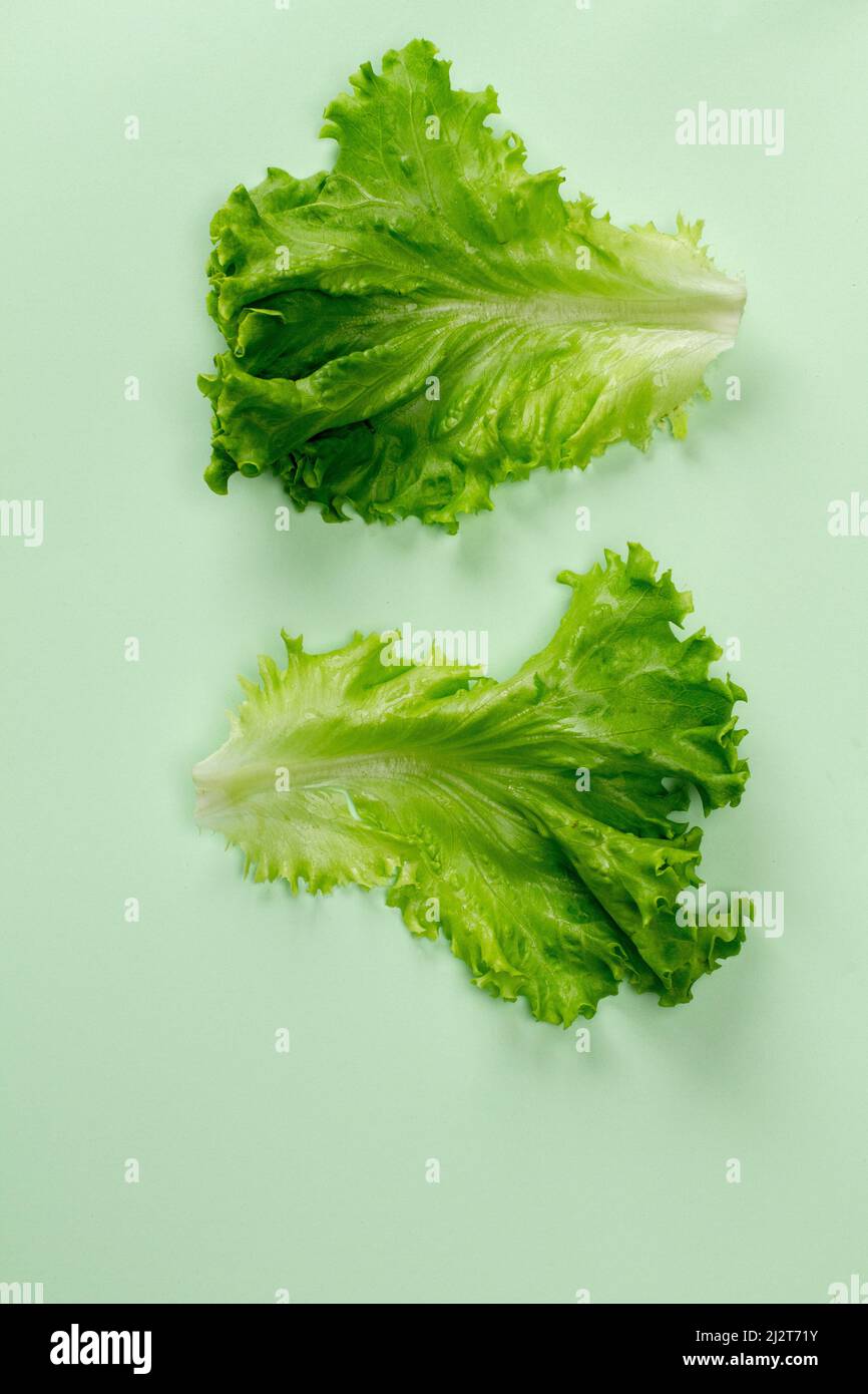 Flat Lay vista dall'alto Lettuce Fresh. Foglia di insalata. Lattuga isolato su sfondo menta. Foto Stock