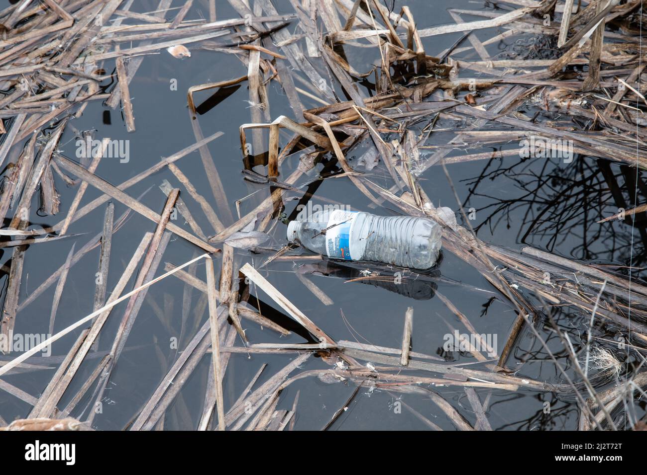 Inquinamento plastico - una bottiglia d'acqua di plastica che galleggia nelle lattaie lungo il fiume Sacandaga vicino a Speculator, NY USA nelle montagne di Adirondack. Foto Stock