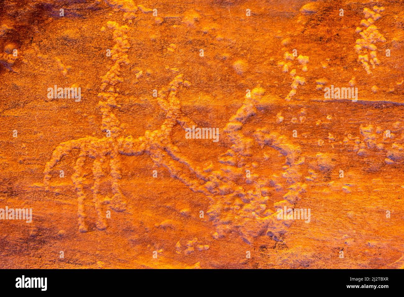 Arte rupestre antica al canyon di Alkazali, Wadi Rum, Giordania, Asia. Foto Stock