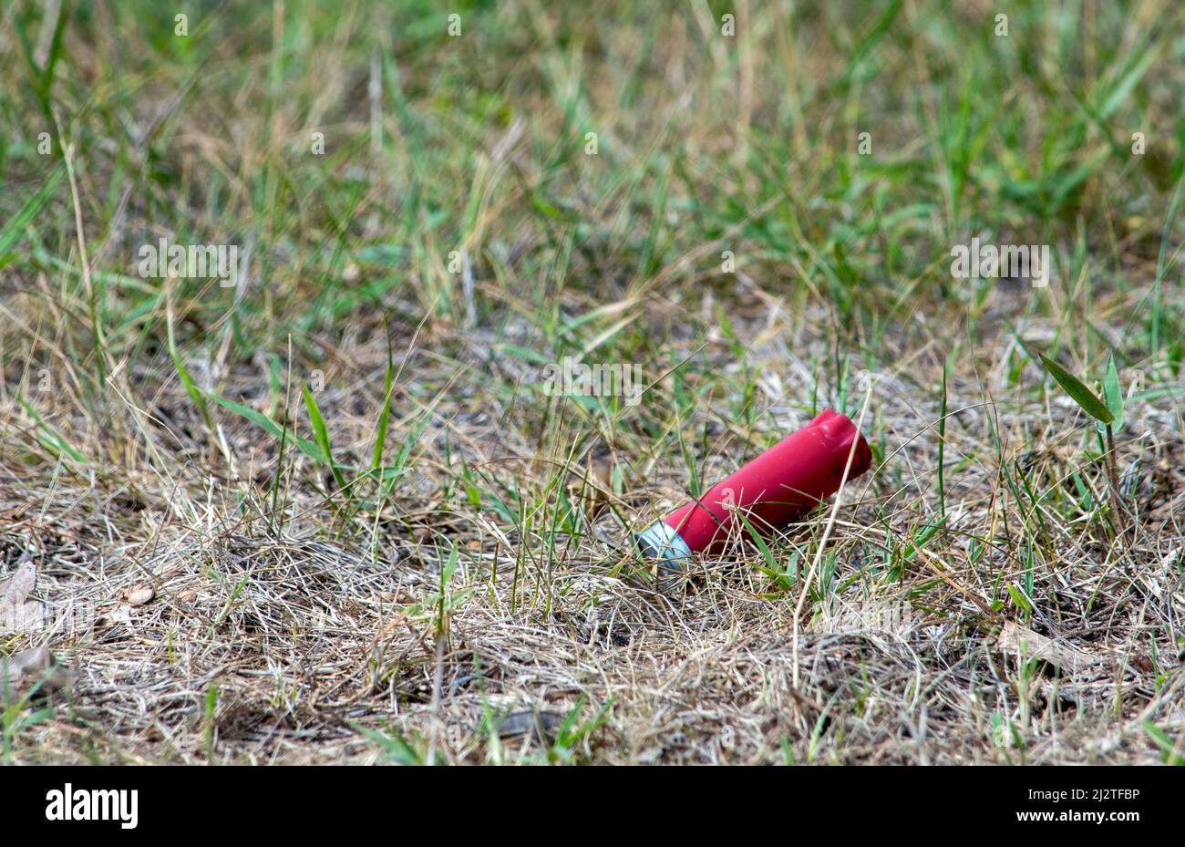 L'involucro di guscio vuoto da una pistola si siede sull'erba Foto Stock