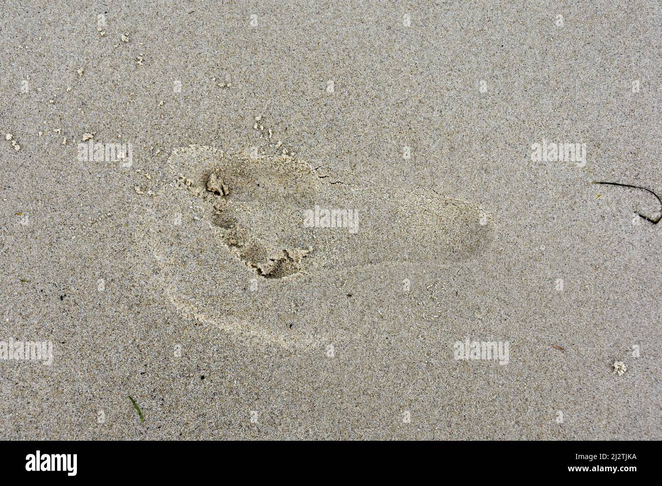 VITA DA SPIAGGIA Foto Stock