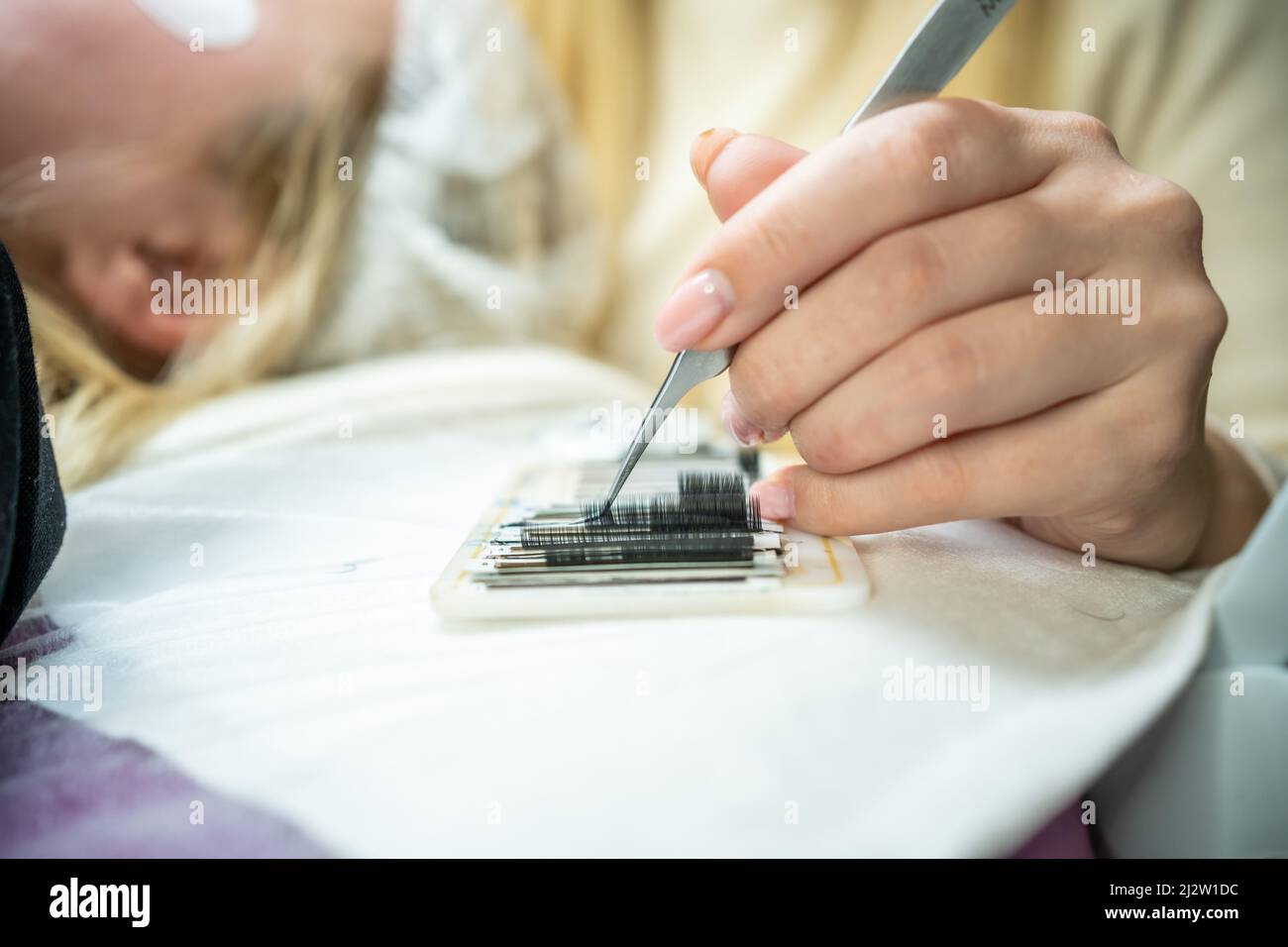 Il maestro prende un mazzo di ciglia artificiali curve con pinzette dalla tavoletta e si immerge nella colla. Il processo di estensione delle ciglia in un Foto Stock