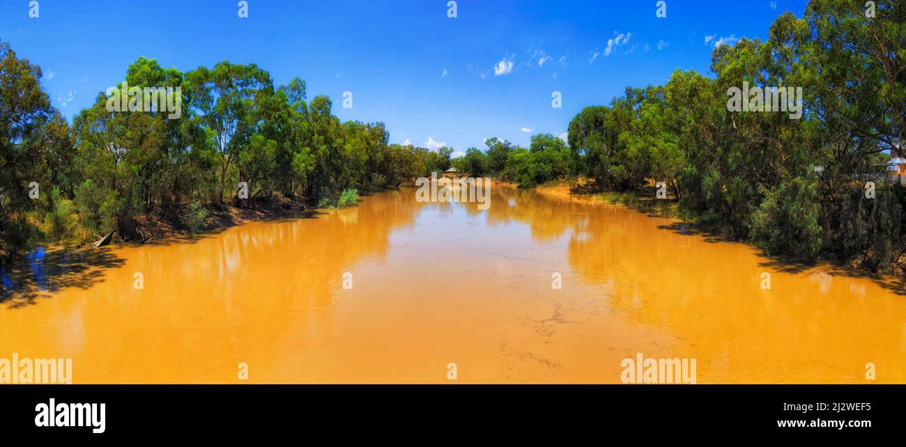 Acque gialle fangose del fiume Darling nell'entroterra australiano vicino alla città di Wilcannia - ampio panorama paesaggistico. Foto Stock