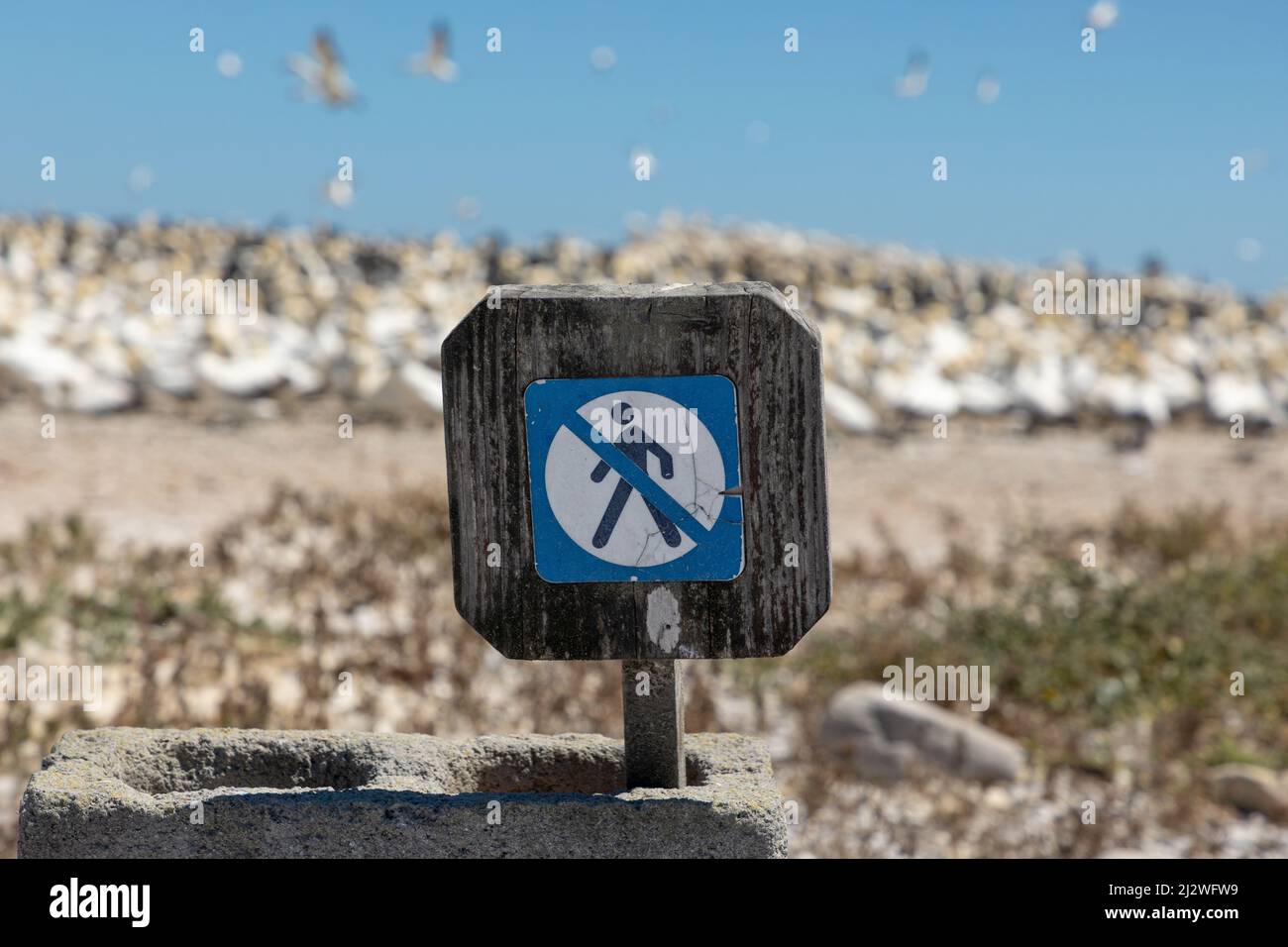 Primo piano su un cartello che indica che non si è autorizzati a camminare su di esso. Foto Stock