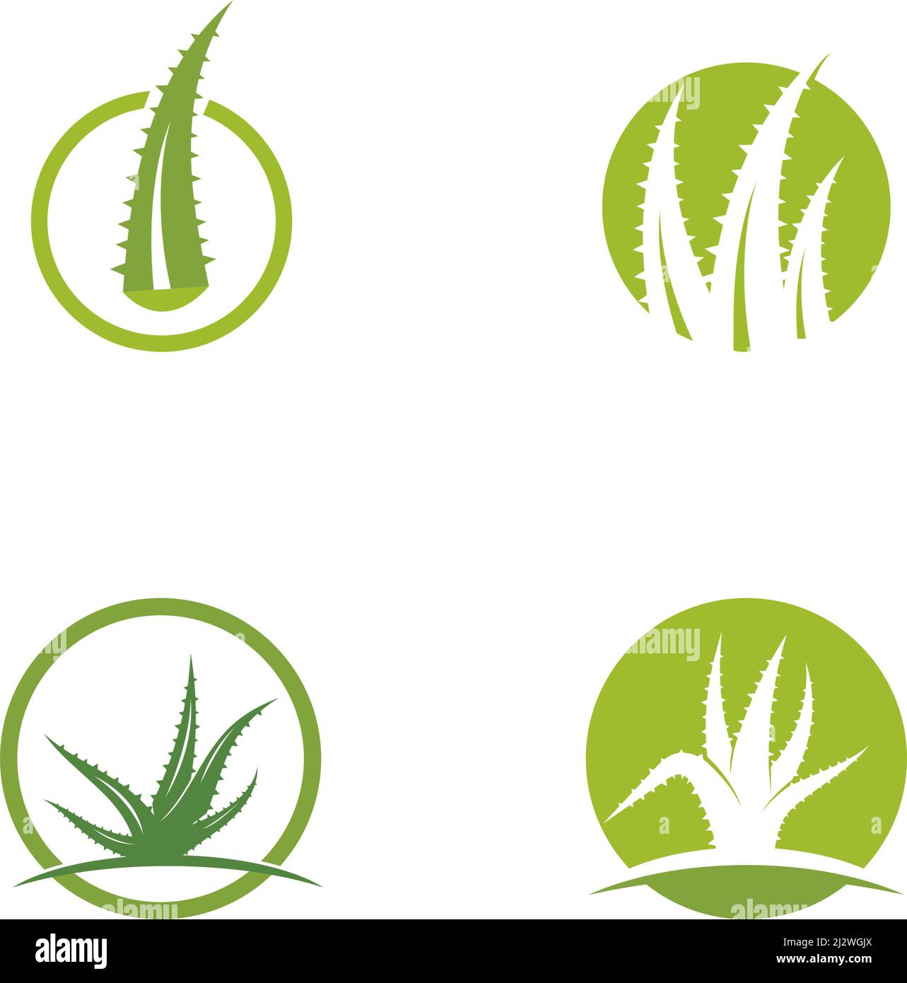Modello di immagine vettoriale del logo Aloe vera Illustrazione Vettoriale