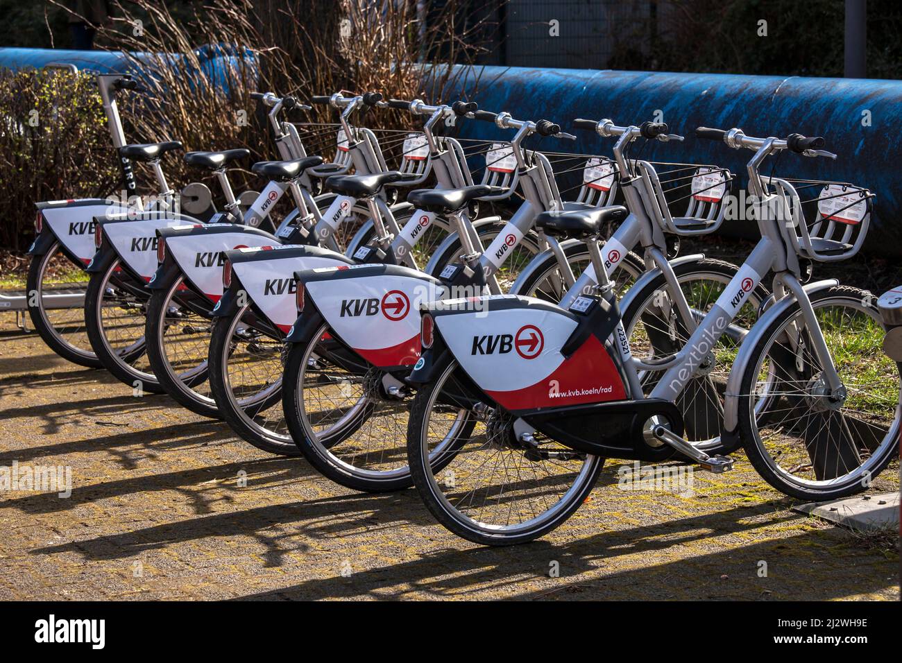 Biciclette e-bikes della società Koelner Verkehrsbetriebe KVB (Colonia azienda di trasporto pubblico) in corrispondenza di una stazione di carica dell'Mobilstation sul ch Foto Stock