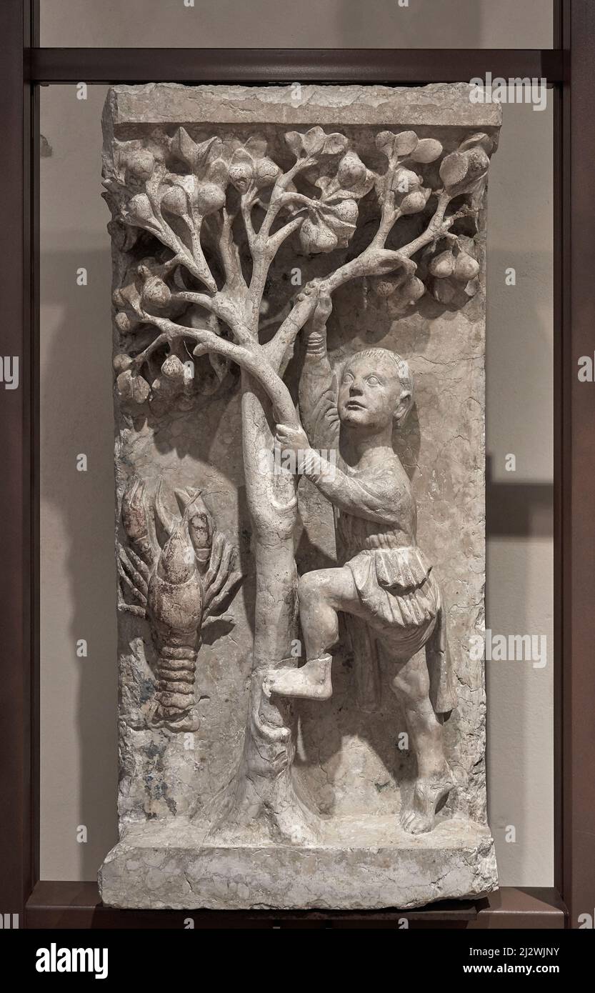 Ottobre - pietra di Verona - Maestro dei mesi di Ferrara - prima metà del 13th secolo - Ferrara, Italia, Museo del Duomo Foto Stock