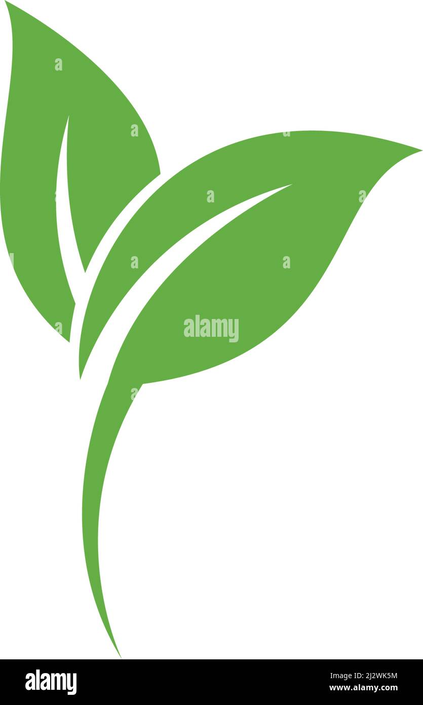Icona vettore elemento natura ecologia logo foglia verde Illustrazione Vettoriale