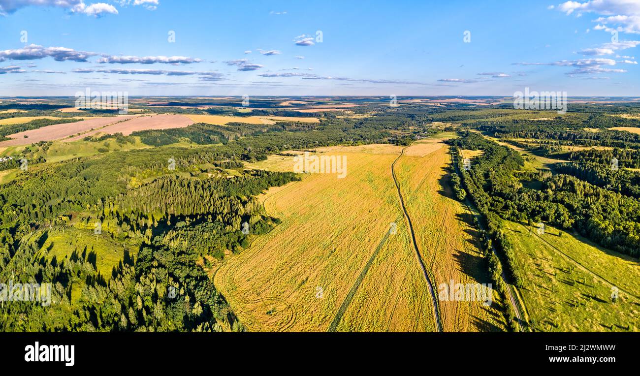 Paesaggio aereo dell'Upland della Russia centrale. Villaggio di Ozerovka, regione di Kursk. Foto Stock