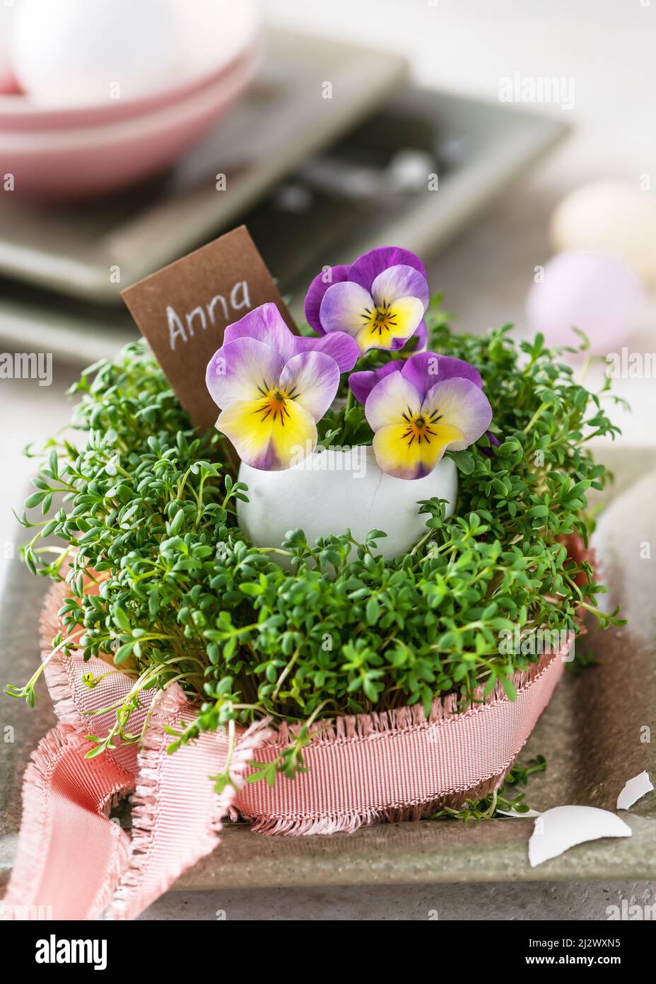 Composizione floreale creativa con fiori di viola e viola giallo in vaso d'uovo e cress verde fresco. Nome cantare. Foto Stock