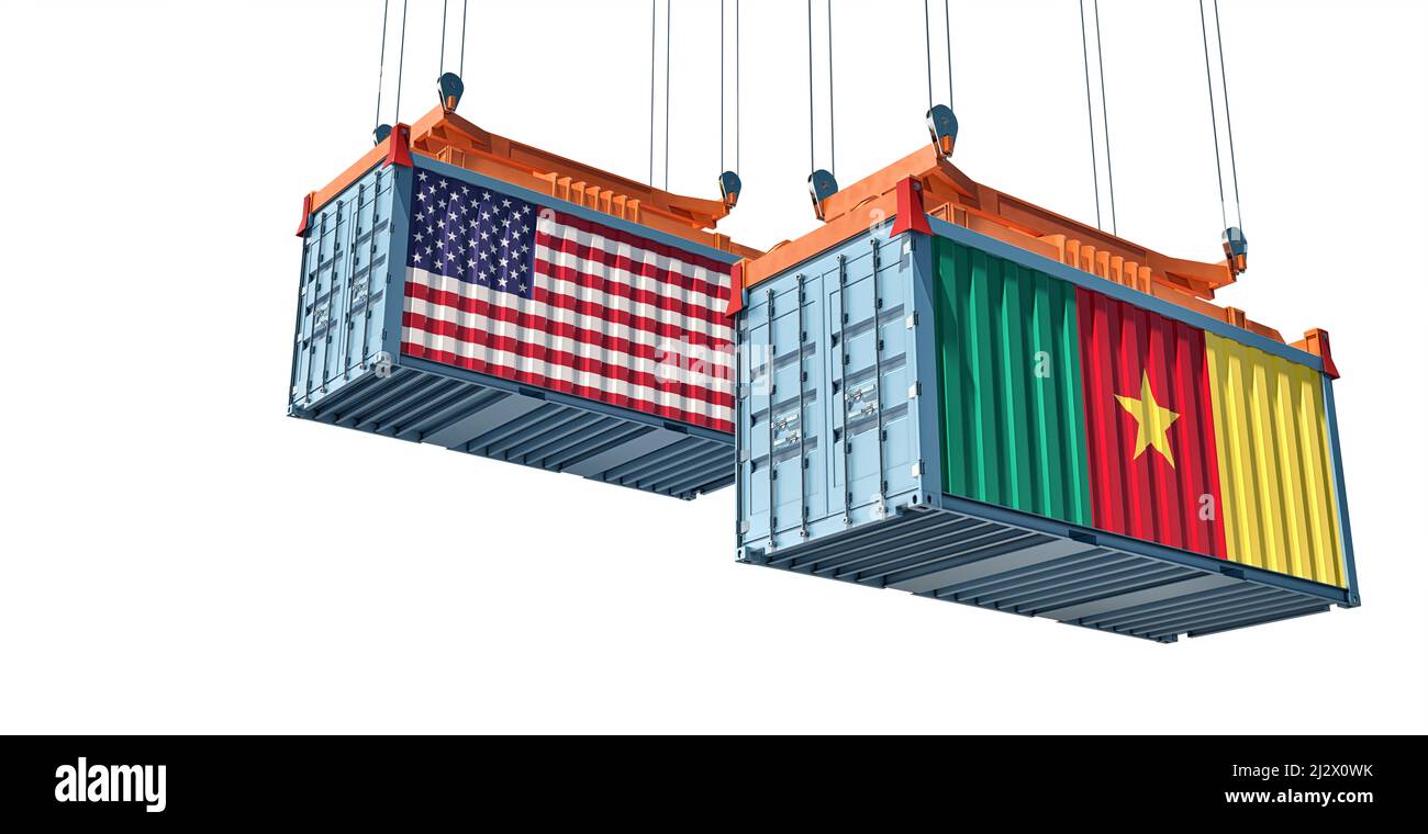 Contenitori per carico con bandiere nazionali USA e Camerun. 3D rendering Foto Stock