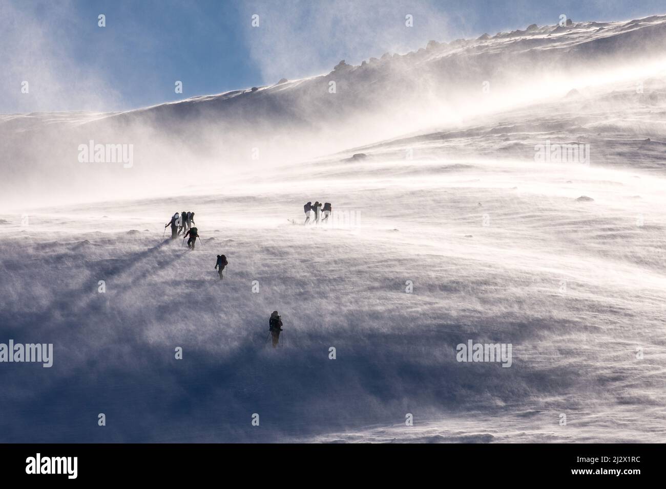 Passeggiate in montagna, montagne Cairngorm, inverno, neve, Blizzard, Aberdeenshire, Scozia, Regno Unito Foto Stock