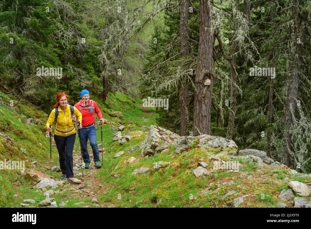 Escursioni uomo e donna sul burrone attraverso la foresta, Nockberge, Nockberge-Trail, Unesco Biosphere Park Nockberge, Gurktal Alpi, Carinzia, Austria Foto Stock